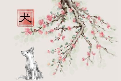 十二生肖文化 狗的来历、传说、寓意和象征
