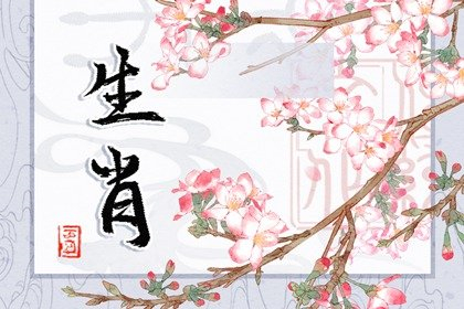 2024年雨水属什么冲什么生肖 老黄历时辰吉凶查询