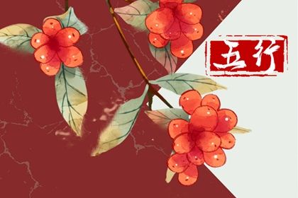 丙辰日柱2023年运气怎样 命运发展好不好