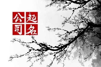 2023年没有注册过的公司名字 体现特色 便于记忆
