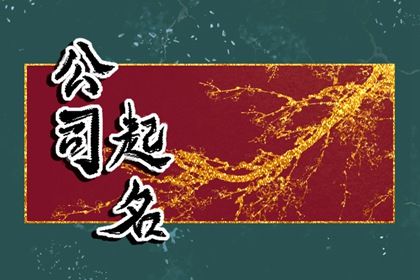 2023年网络公司取什么名字好 独特个性流行好听