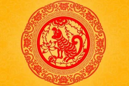 狗1.jpg
