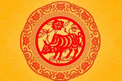 宋韶光2024龙年生肖属牛运势运程完整版