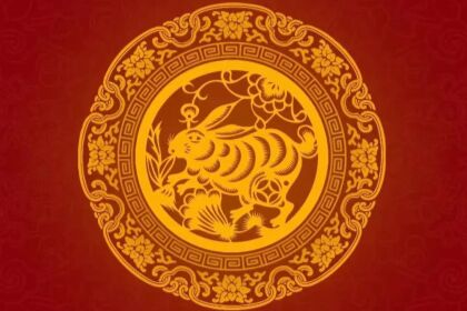 兔1.jpg
